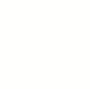 bialy HEX #fffffd.png