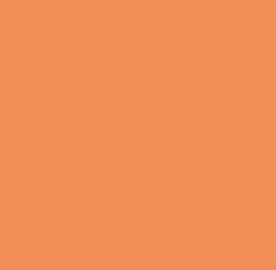 pomarancz rgb(255,137,74).png